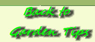 mays_greenhouse212002.jpg