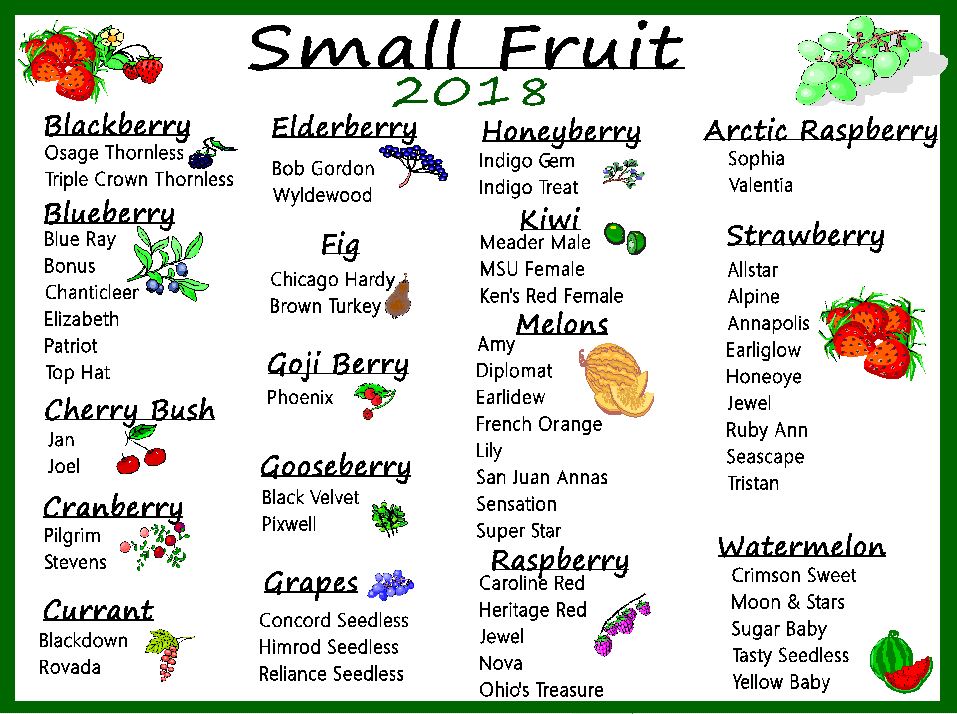 Mays Greenhouse Garden Center and Nursery Bloomington, Indiana News